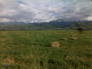 Срочно продам участок 1.5 гектара