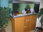 Продам аквариум с объемом 400 литров