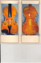 скрипка  изготовлена немецким мастером  2008г есть  паспорт сертификат