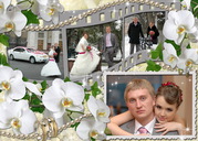 Фотограф в Алматы,  Фотограф Галина Шеенко,  Фотограф на свадьбу