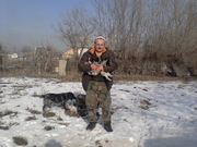 русский спаниель