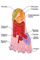 Услуги массажа  87777797421