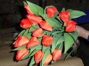 Тюльпаны   к 8 марта