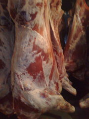 мясо говядина,  конина,  блочное 1 сорт.