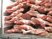 мясо говядины заморозка окорочка Россия США Аргентина