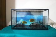 Продам новый аквариум на 50 литров