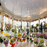 Акция на Натяжные Потолки!