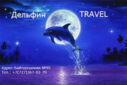 Дельфин Travel