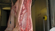 Мясо свинина,  туши от 50 до100 кг,  880 тенге за кг.