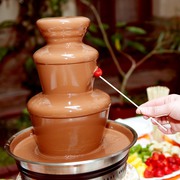 Шоколадный фонтан в Алматы