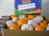 Апельсины  и другие фрукты и овощи из Египта от производителя в Алмате