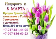 Недорого к 8 МАРТА! 