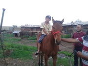 Обучаю детей ездить на лошади в Алматы