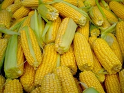 кукуруза в початках (Тулпар 539) 
