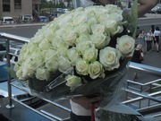 101 белая роза 70 см