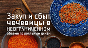 Купля и продажа чечевицы ОПТОМ и в розницу по цене ниже рыночной!!!