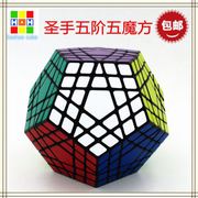 Скоростная головоломка ShengShou Gigaminx 47019  