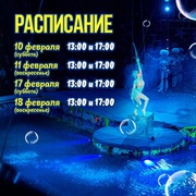 Фееричное,  неповторимое «AQUA-show» для всей семьи