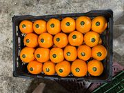 Апельсины из Ирана ..
