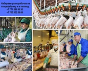 Компания ПРO работа ищeт разнорабочих на работу в птицефабр. и теплицу