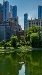 Недвижимость в Москве и Подмосковье – путь к жизни и бизнесу в России