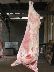  Мясо (говядина,  свинина) оптом